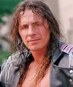 Bret Hart Paint By Numbers