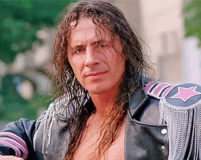 Bret Hart Paint By Numbers