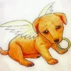 Puppy Dog Angel Paint By Numbers