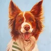 Border Collie Puppy Paint By Numbers