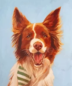 Border Collie Puppy Paint By Numbers