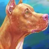 Red Nose Pit Paint By Numbers