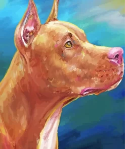 Red Nose Pit Paint By Numbers