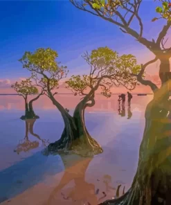 Mangrove Tress Paint By Numbers