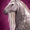 Percheron Horse Paint By Numbers