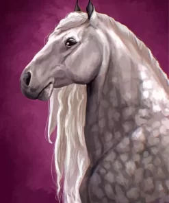 Percheron Horse Paint By Numbers