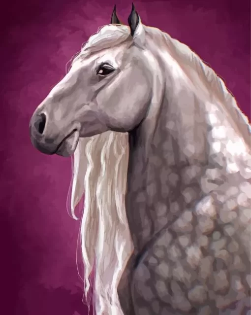 Percheron Horse Paint By Numbers