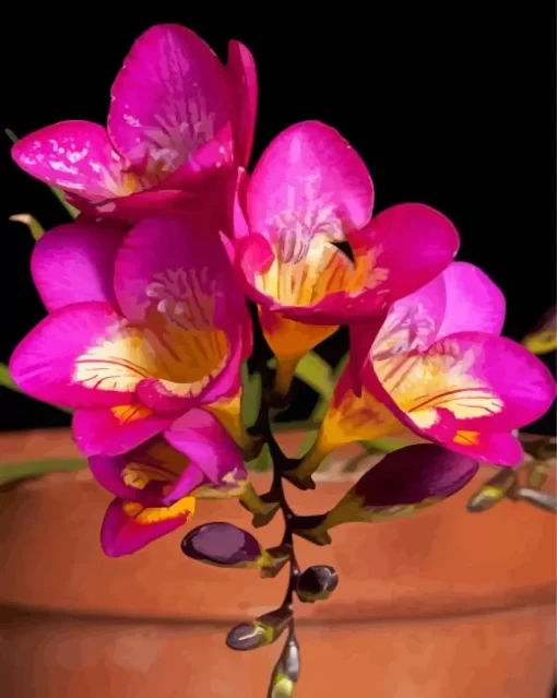 Pink Freesia Paint By Numbers