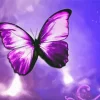 Purple Butterfly Paint By Numbers