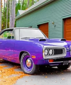 Purple Super Bee Paint By Numbers