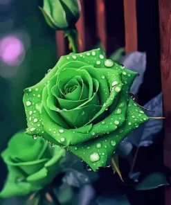 Green Rose Paint By Numbers