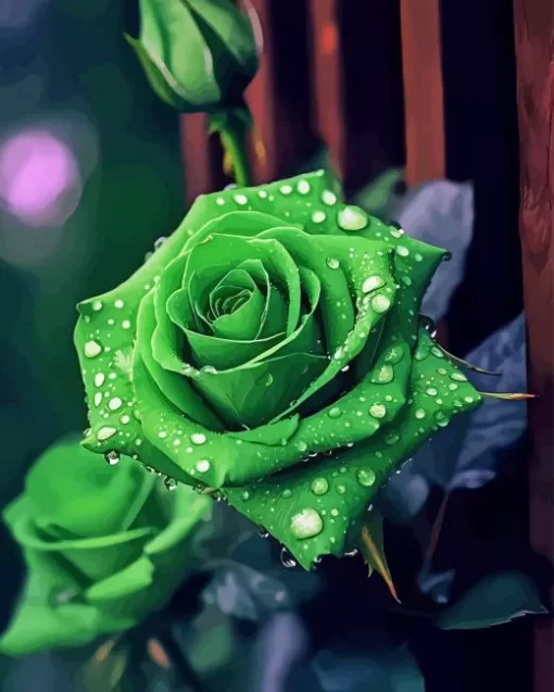 Green Rose Paint By Numbers