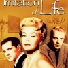 Imitation Of Life Paint By Numbers