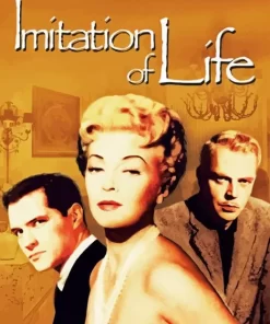 Imitation Of Life Paint By Numbers