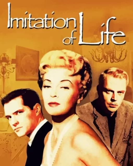 Imitation Of Life Paint By Numbers