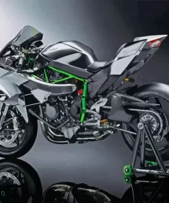 Kawasaki H2r Paint By Numbers