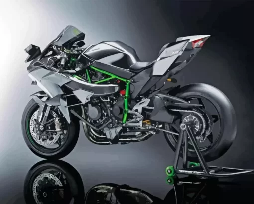 Kawasaki H2r Paint By Numbers