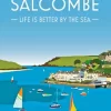 Salcombe England Paint By Numbers