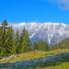 Carpathian Mountains Paint By Numbers