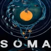 Soma Poster Art Paint By Numbers