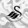 Swansea City Paint By Numbers