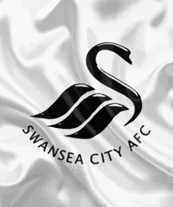 Swansea City Paint By Numbers