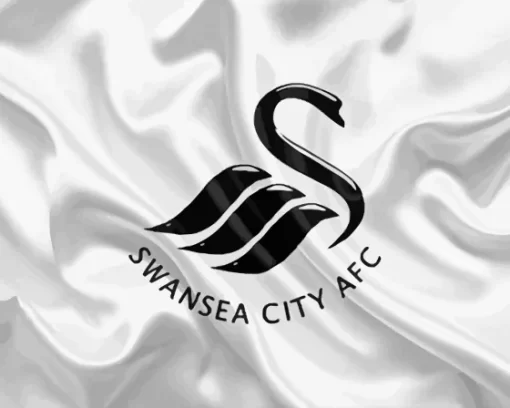 Swansea City Paint By Numbers