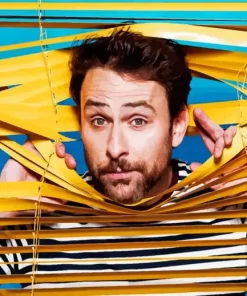 Actor Charlie Day Paint By Numbers