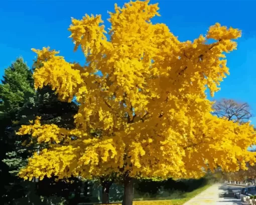 Ginkgo Tree Paint By Numbers