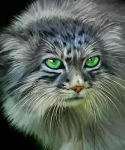 Pallas Cat Paint By Numbers