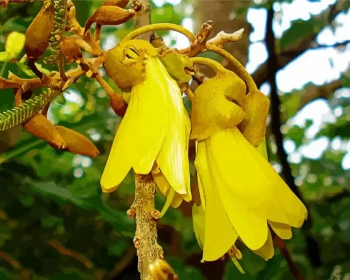 Kowhai Paint By Numbers