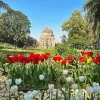 Epic Lodhi Garden Paint By Numbers