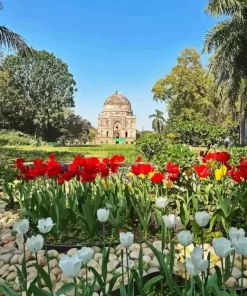 Epic Lodhi Garden Paint By Numbers