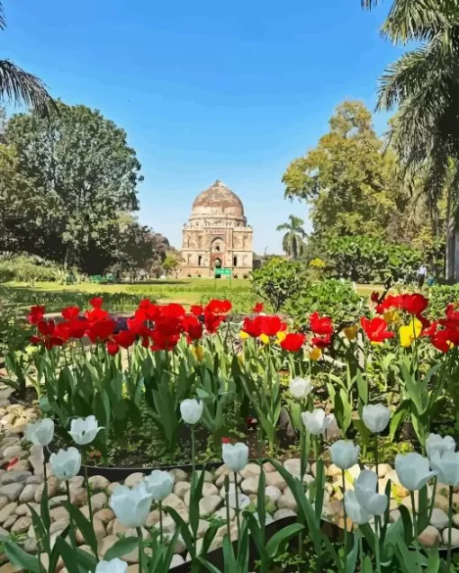 Epic Lodhi Garden Paint By Numbers