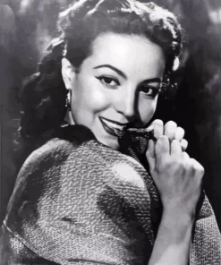 Maria Felix Paint By Numbers