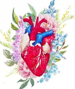 Heart With Flowers Paint By Numbers