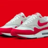 Nike Air Max Paint By Numbers