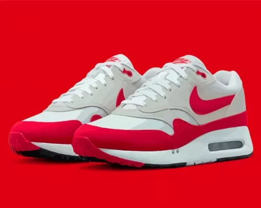 Nike Air Max Paint By Numbers