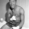 Sugar Ray Robinson Paint By Numbers