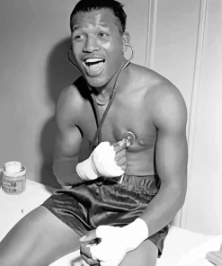 Sugar Ray Robinson Paint By Numbers