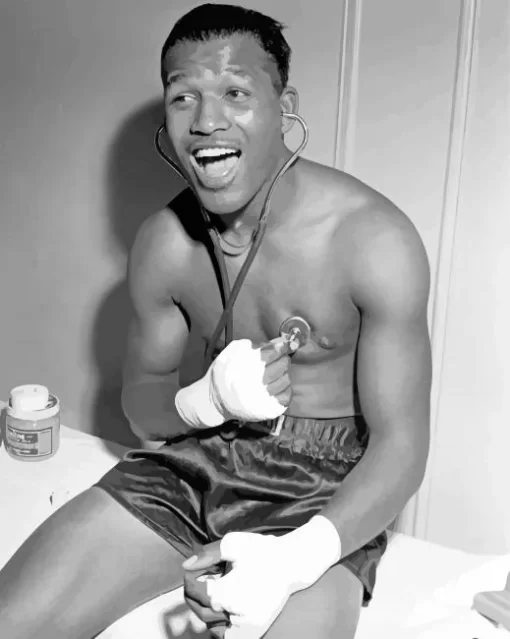 Sugar Ray Robinson Paint By Numbers