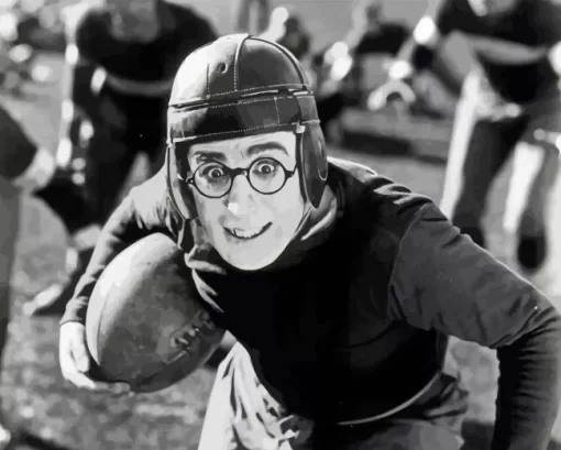 Harold Lloyd Paint By Numbers