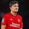 Harry Maguire Paint By Numbers