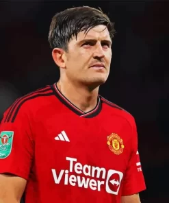 Harry Maguire Paint By Numbers