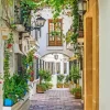 Marbella Town Paint By Numbers