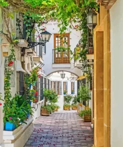 Marbella Town Paint By Numbers