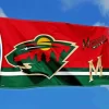 Minnesota Wild Flag Paint By Numbers