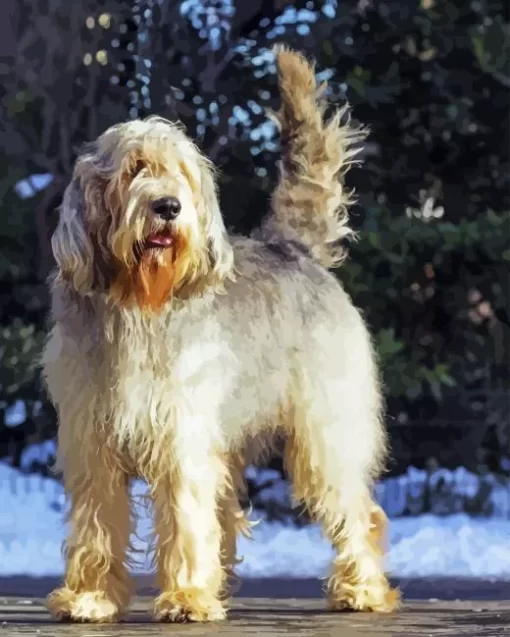 Otterhound Dog Paint By Numbers