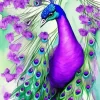 Purple Peacock Art Paint By Numbers