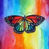 Rainbow Butterfly Paint By Numbers